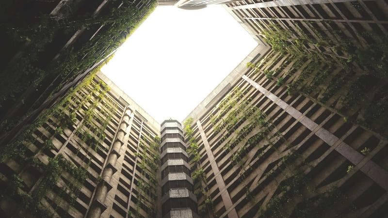 Grid Operators Are Quietly Becoming Data Companies